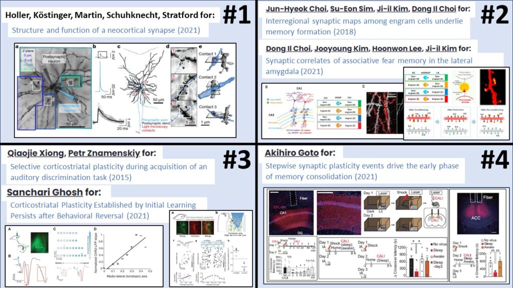 2023 Aspirational Neuroscience Award winners
