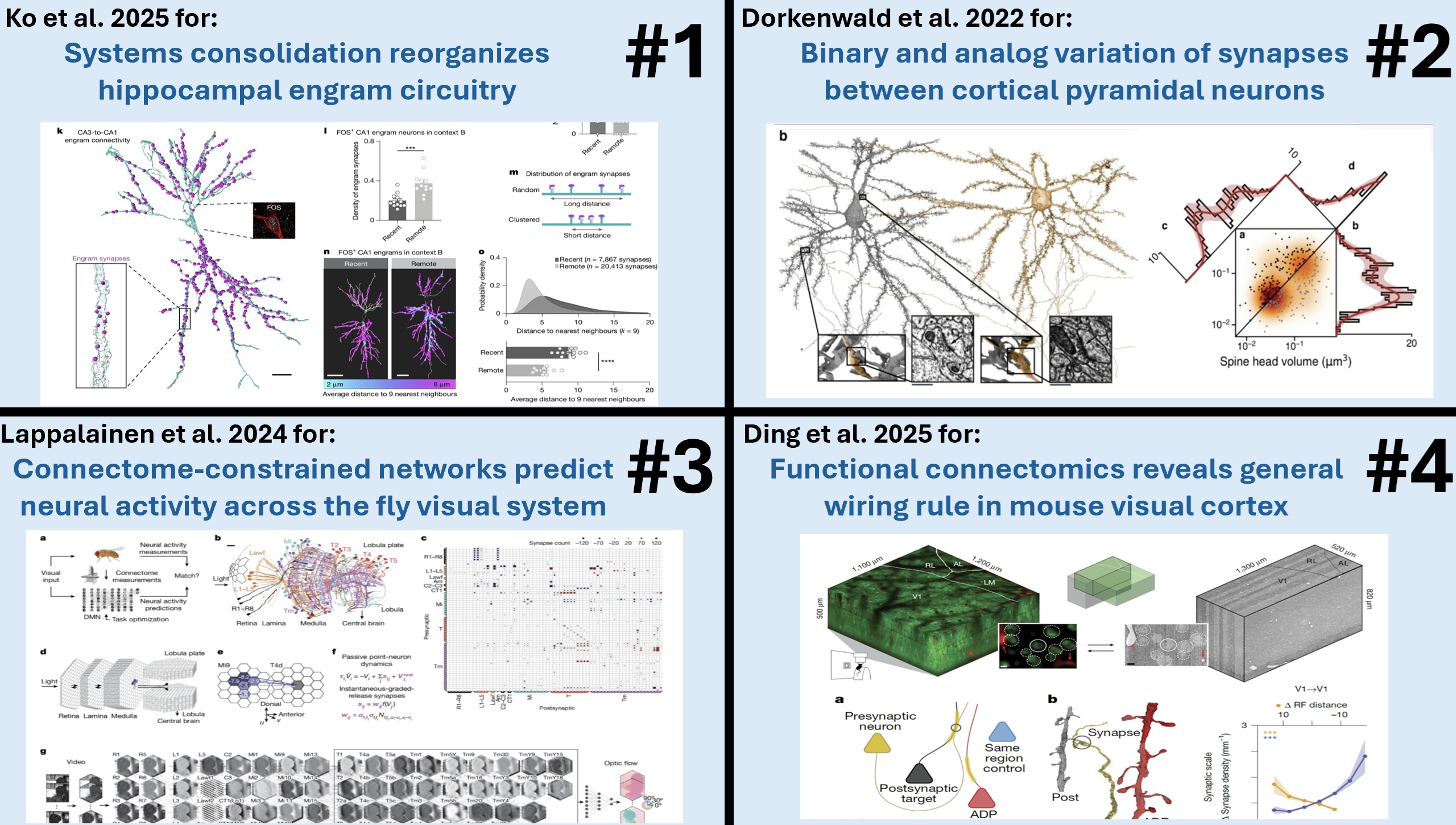 2025 Aspirational Neuroscience Award winners